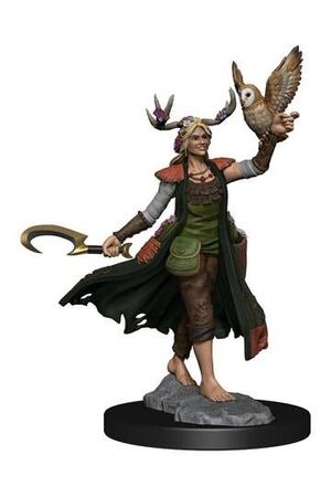 DUNGEONS & DRAGONS FRAMEWORKS KIT DE MODELO MINIATURA HUMAN DRUID FEMALE