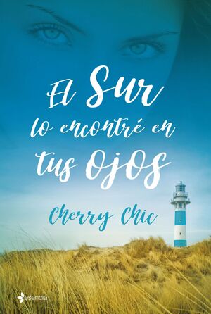 Imperfectas navidades de Cherry Chic, Libro Resumen