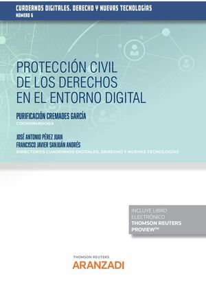 PROTECCIÓN CIVIL DE LOS DERECHOS EN EL ENTORNO DIGITAL (PAPEL + E-BOOK)