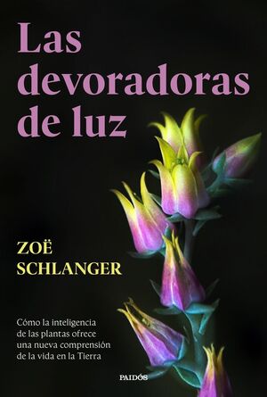 DEVORADORAS DE LUZ, LAS